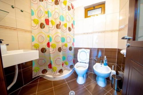 a bathroom with a toilet and a sink at Nina's Guesthouse in Gjirokastër