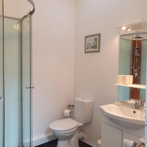 a bathroom with a toilet and a sink and a shower at Chambres D'Hôtes Saint Jean in Saint-Jean-de-Blaignac