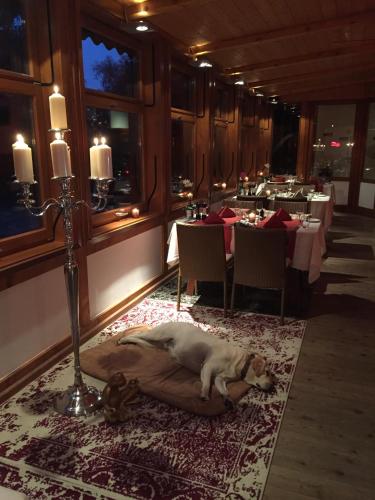 a dog laying on the floor in a restaurant at Johanneshof Gästehaus in Hockenheim