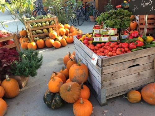a display of pumpkins and other fruits and vegetables at Johanneshof Gästehaus in Hockenheim