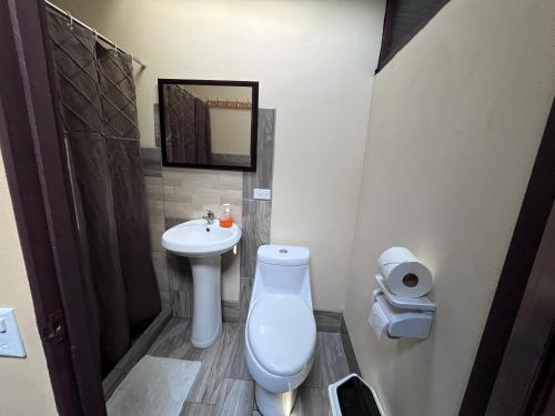 a bathroom with a toilet and a sink at Chilamate Rainforest Eco Retreat in Puerto Viejo