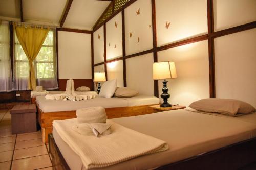 Habitación con 3 camas y lámpara en Chilamate Rainforest Eco Retreat en Puerto Viejo
