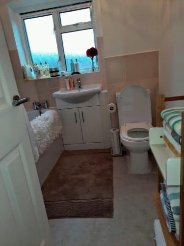 a bathroom with a toilet and a sink and a window at Quality space in Havering atte Bower
