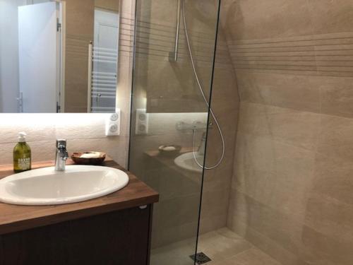 y baño con lavabo y ducha acristalada. en Appartement Villers-sur-Mer, 1 pièce, 2 personnes - FR-1-712-3, en Villers-sur-Mer