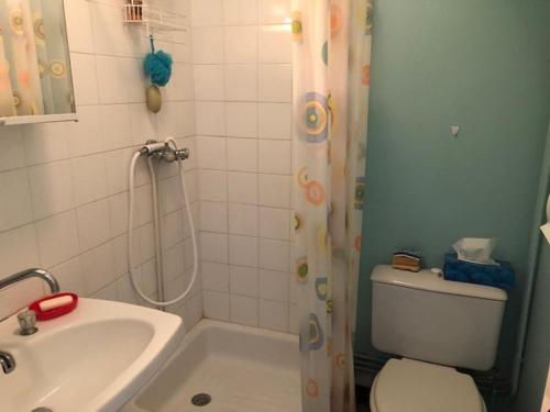 une salle de bain avec un lavabo, des toilettes et une douche dans l'établissement Studio lumineux avec balcon, proche plage, commerces et gare, avec parking privatif - FR-1-712-33, à Villers-sur-Mer