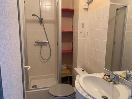 une salle de bain avec une douche, des toilettes et un lavabo dans l'établissement Appartement 2 pièces centre de Villers-sur-Mer avec parking - FR-1-712-40, à Villers-sur-Mer