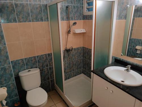 W łazience znajduje się toaleta, umywalka i prysznic. w obiekcie Cibuqueira numéro 5, Appartement en centre ville,vue sur mer, plage à pied w mieście Le Moule