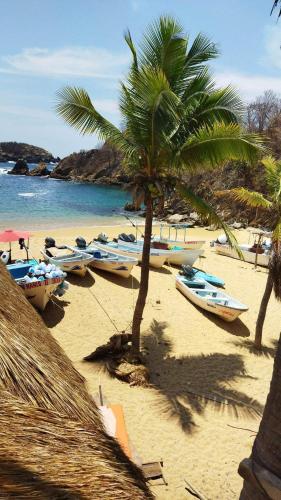 Hakunamatata – Photos 5