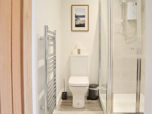 ein weißes Bad mit einem WC und einer Dusche in der Unterkunft Carr Lodge in York