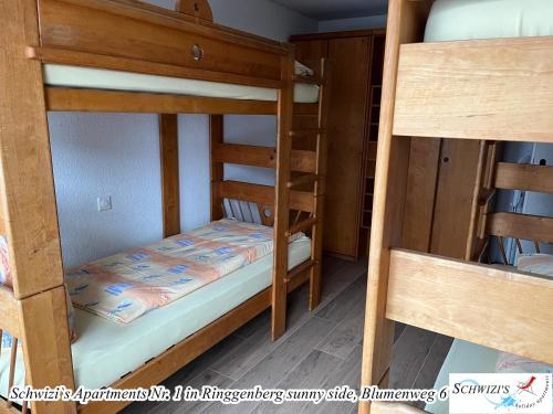 a bedroom with two bunk beds and a ladder at Schwizi's Apartments in Ringgenberg