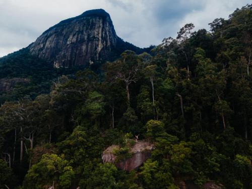 a mountain in the middle of a forest at Tunamaya Beach & Spa Resort Tioman Island in Tioman Island