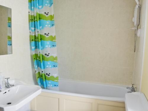 a bathroom with a sink and a shower curtain at Rose Cottage in Rochester