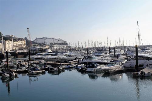 a bunch of boats docked in a harbor at Tor Dean Guest House in Torquay