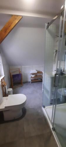 W łazience znajduje się toaleta i przeszklony prysznic. w obiekcie Pokoje u Stasi w Stegnie