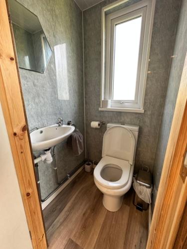 a bathroom with a toilet and a sink and a window at The Pod in Abererch