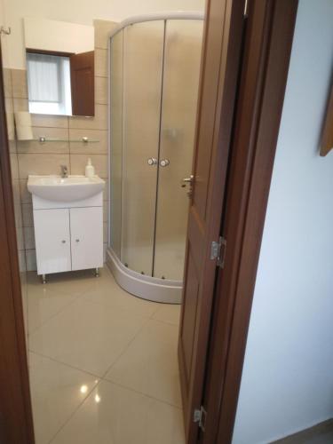 uma casa de banho com um chuveiro e um lavatório. em Pensiunea Casa Ghica em Valea Sălciilor