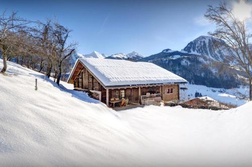 マニグードにあるChalet OVO La Vieille Ferme - OVO Networkの山々を背景にした雪の丸太小屋