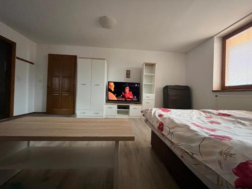 a bedroom with a bed and a flat screen tv at Apartmány u Samuela in Oravský Biely Potok