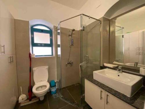 a bathroom with a toilet and a sink and a shower at Stay in the center of Elgouna in Hurghada
