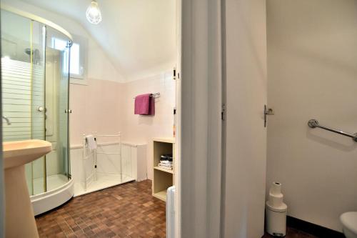 a bathroom with a shower and a sink at La Maison aux Volets Roses in Saint-Alban