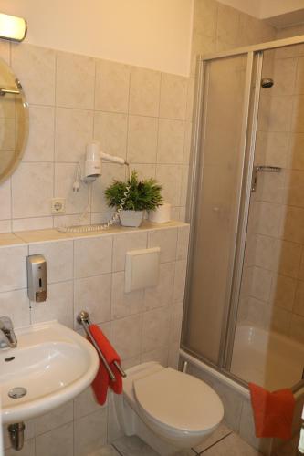 a bathroom with a toilet and a sink and a shower at Stadthotel Brandenburger Hof in Neuruppin