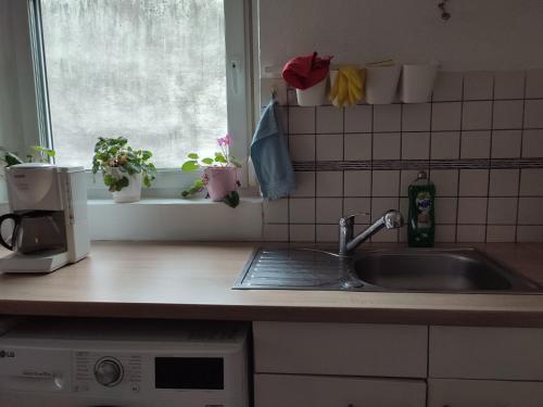 a kitchen counter with a sink and a window at Appartement chaleureux in Haguenau