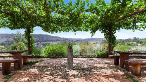 un grupo de bancos y un árbol con montañas en el fondo en Strawbale Cottage - Wingspread Garden, en Strath Creek