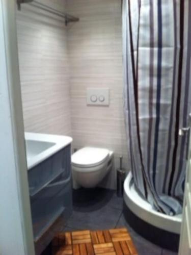 La salle de bains est pourvue de toilettes, d'un lavabo et d'une douche. dans l'établissement Studio Juan les Pins 06 - centre ville - plage à 150m, à Antibes