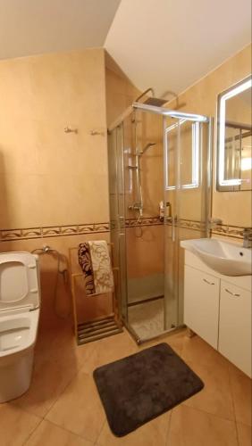 a bathroom with a shower and a toilet and a sink at Nossa Casa in Bečići