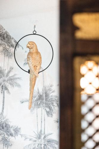 a bird hanging from a hoop on a wall at Hôtel La Villa Juan Beach in Juan-les-Pins