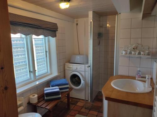 y baño con lavadora y lavamanos. en Fischerkate-mit-schoenem-Garten, en Sankt Peter-Ording