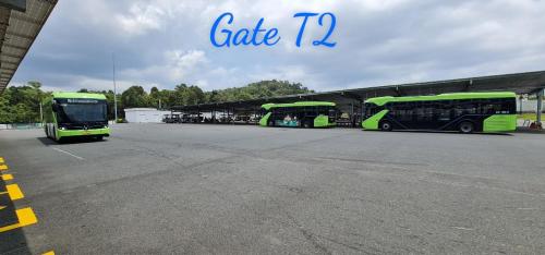 three green buses parked in a parking lot at BREAKING DAWN- TAEYANG Hotel Phú Quốc in Phu Quoc
