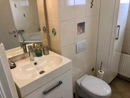 a small bathroom with a sink and a toilet at Jenny Apartment with Jacuzzi in Brezovica