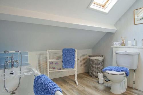 a bathroom with a shower and a toilet in a attic at Compass Cottage in Abersoch