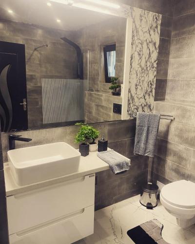 a bathroom with a sink and a toilet at Casa.Puf in Techirghiol