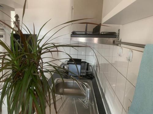 La salle de bains est pourvue d'un lavabo et d'une plante en pot. dans l'établissement Cozy Appartment near Paris - Donizetti, à Vitry-sur-Seine