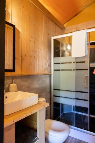 a bathroom with a sink and a toilet at Sahara Stay in Vluchtenburg