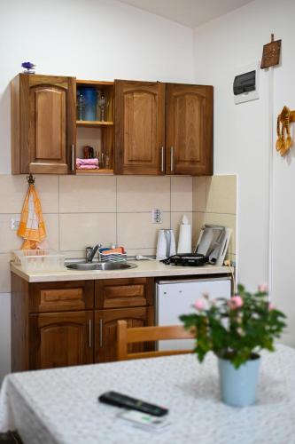 a kitchen with wooden cabinets and a sink and a table at Tri bagrema KM in Mokra Gora