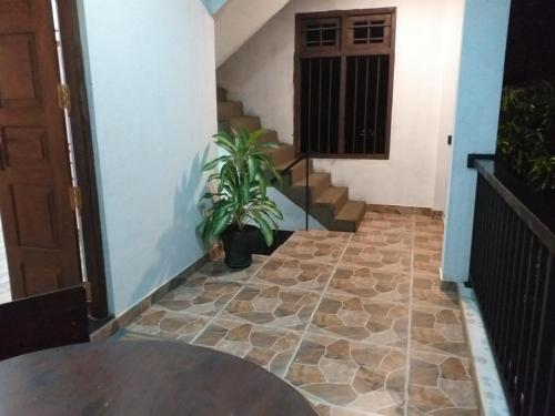 a hallway of a house with a potted plant at Hotel La Felicita in Mirissa