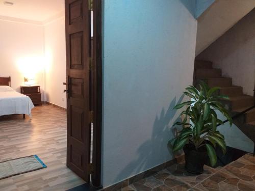 a room with a door and a potted plant at Hotel La Felicita in Mirissa