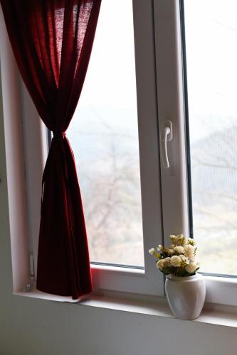 a window with a red curtain and a vase with flowers at Tri bagrema KM in Mokra Gora