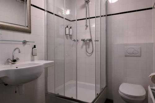 a bathroom with a shower and a sink and a toilet at Logementen Dokkum in Dokkum