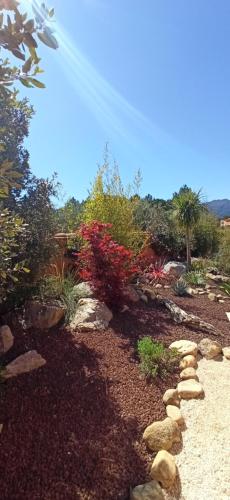 a garden with rocks and plants on the ground at Villa SOREDE in Sorède
