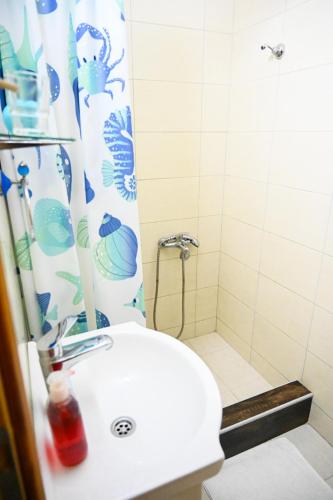 a bathroom with a sink and a shower at Tri bagrema KM in Mokra Gora
