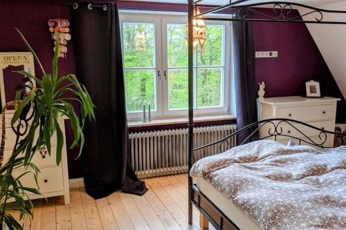 a bedroom with a bed and a plant and a window at Ferienhaus Bad Arolsen in Bad Arolsen