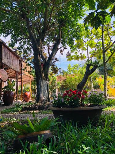a garden with flowers and trees in a yard at Song Ngư Riverside Homestay in Can Tho