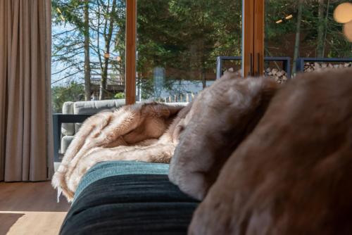 Zona de estar de Villa Wood - Gîte de prestige en Ardennes - 10 personnes - Sauna, jacuzzi, piscine et billard