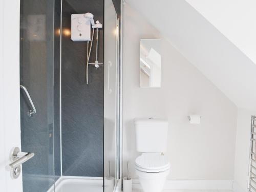 a bathroom with a toilet and a glass shower at Dormouse Cottage in Sea Palling