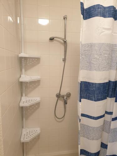 une douche avec un rideau de douche dans une salle de bain dans l'établissement Studio Montbrun les bains, à Montbrun-les-Bains