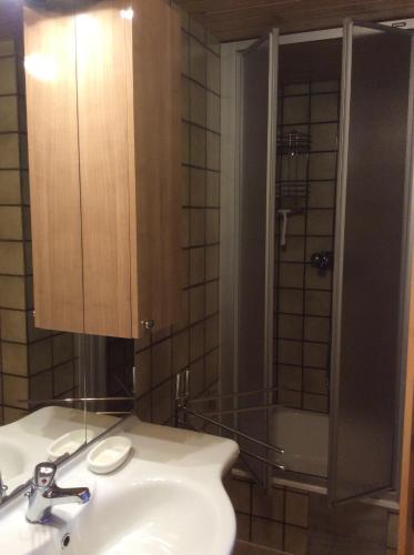 y baño con lavabo y ducha. en Double room with a kitchenette in a beautiful surrounding, en Sautens